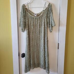 Rod's sage green lace dress feminine floral lace overlay sheer bell sleeves SM